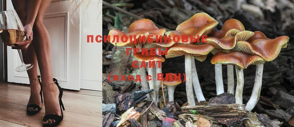 каннабис Покачи