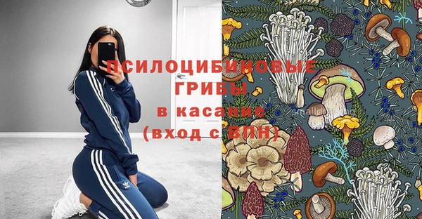 каннабис Покачи