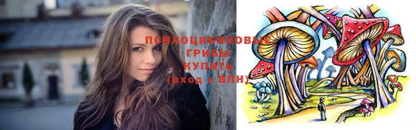 марихуана Гусиноозёрск