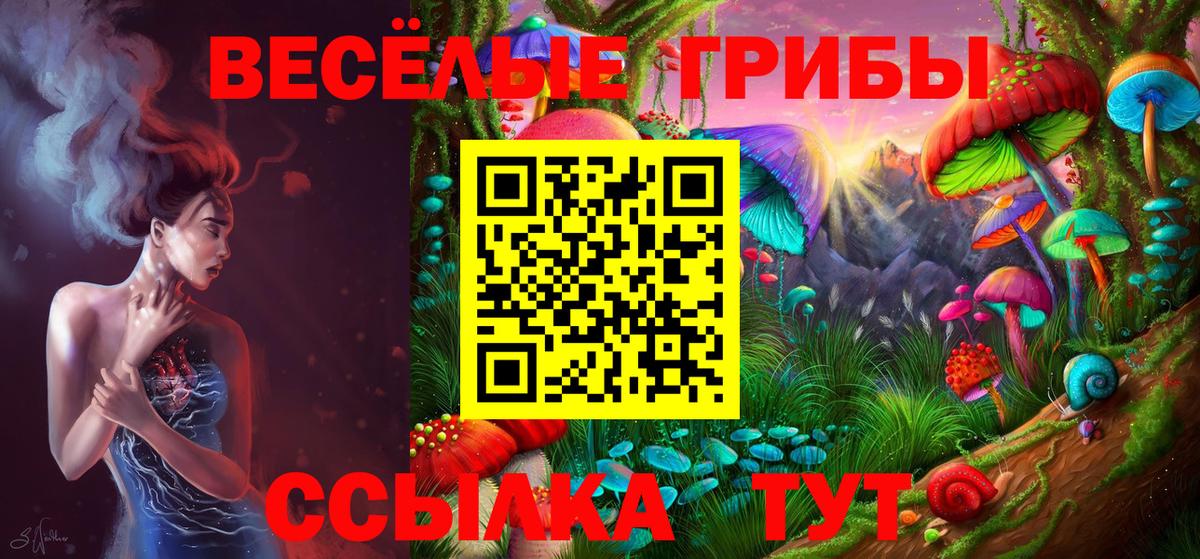 Псилоцибиновые грибы прущие грибы Саров