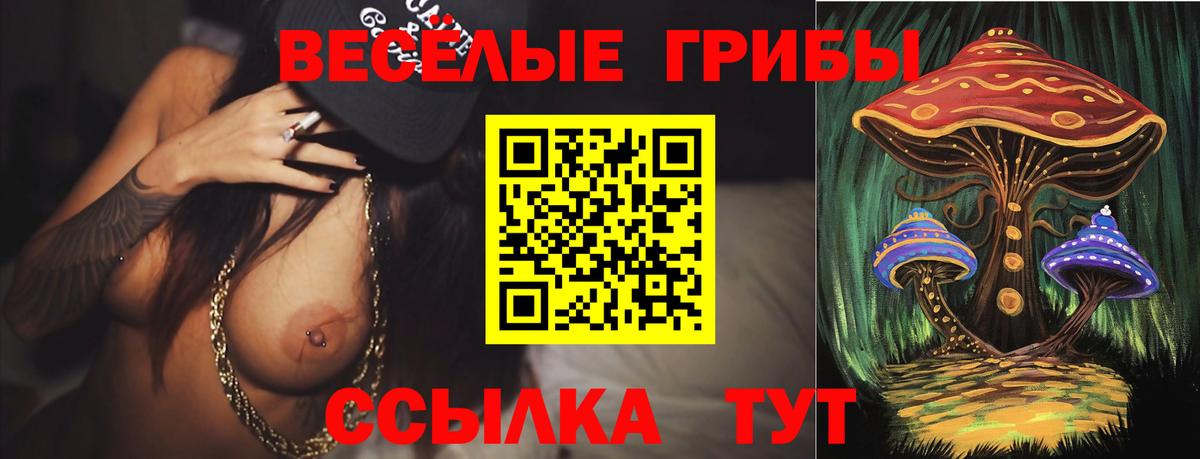 Саров  Галлюциногенные грибы мухоморы  Вход с VPN 